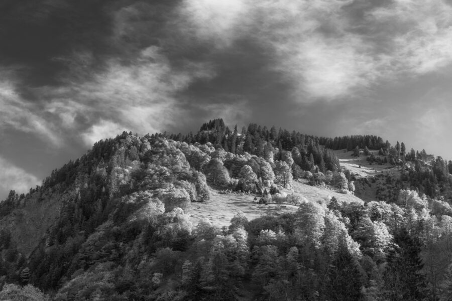 leinwand schwarz weiß wandbilder foto kaufen Allgäu Alpen Berge Oberstdorf Herbst Autumn Spielmannsau Trettach Trettachspitze Oberau Sonnenaufgang Oberallgäuer himmel sonne