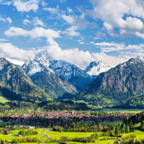 oberstdorf Allgäu Alpen Berge Trettach Stillach Frühling Spring Blumen Bergblumen Baum Bäume Wald Wiese Hochfrott Mädelegabel grüne wiesen blauer himmel