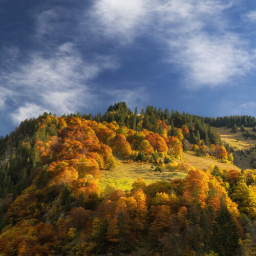 fotogalerie oberstdorf Allgäu Alpen Berge Oberstdorf Herbst Autumn Spielmannsau Trettach Trettachspitze Oberau Sonnenaufgang Oberallgäu orange rot blauer himmel sonne