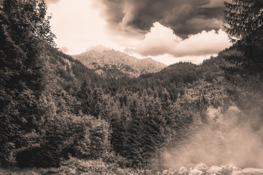 kuhbilder leinwand sepia wandbilder foto kaufen Berge Kuh Braunvieh Vieh Rind Rinder Kühe Viehscheid Alp Alm Abtrieb Bergsommer Hinterstein Oberallgäu