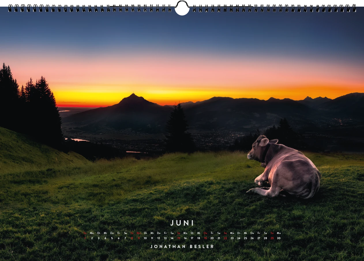 06 2 Allgäu Kuhkalender 2025 Kuhbilder Berge Viehscheid