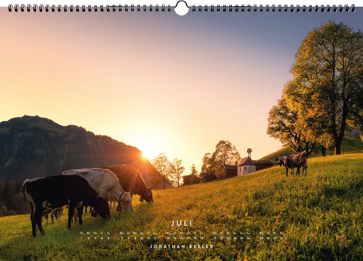 07 2 Allgäu Kuhkalender 2025 Kuhbilder Berge Viehscheid