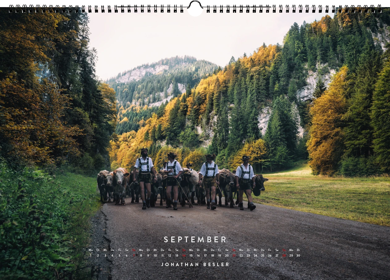 09 1 Allgäu Kuhkalender 2025 Kuhbilder Berge Viehscheid