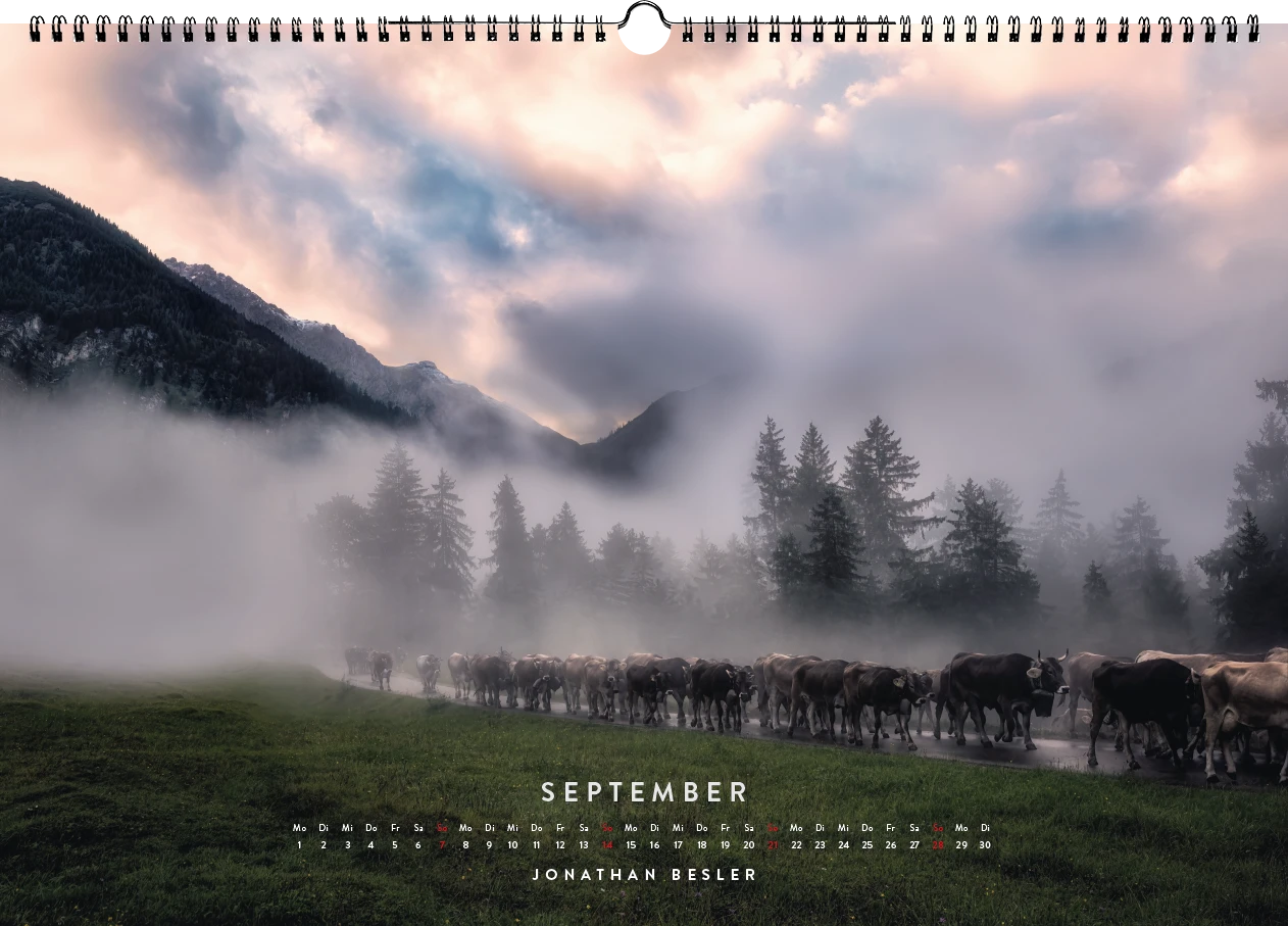 09 2 Allgäu Kuhkalender 2025 Kuhbilder Berge Viehscheid