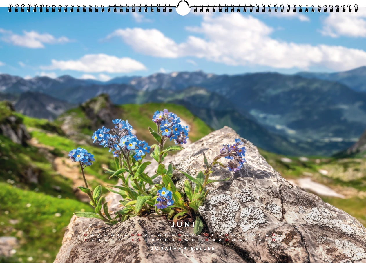 06 1 Allgäu Kalender 2025 Heimat Bergbilder Landschaftsbilder Kuhbilder