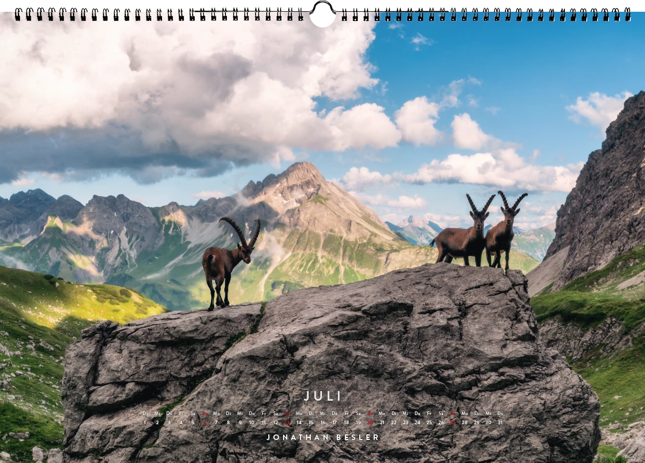 07 1 Allgäu Kalender 2025 Heimat Bergbilder Landschaftsbilder Kuhbilder