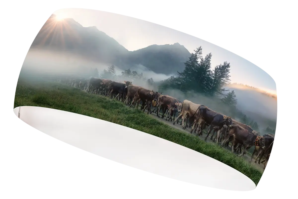 Viehscheid Sonne Stirnband - 2029