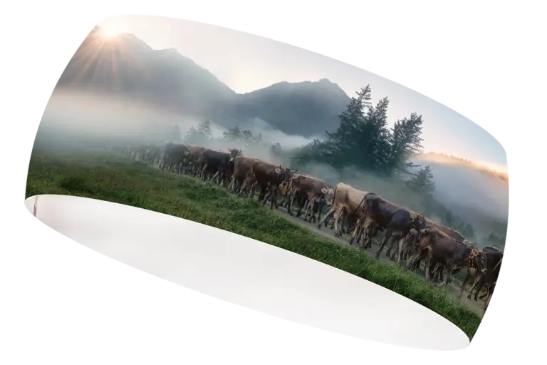 Viehscheid Sonne Stirnband - 2029