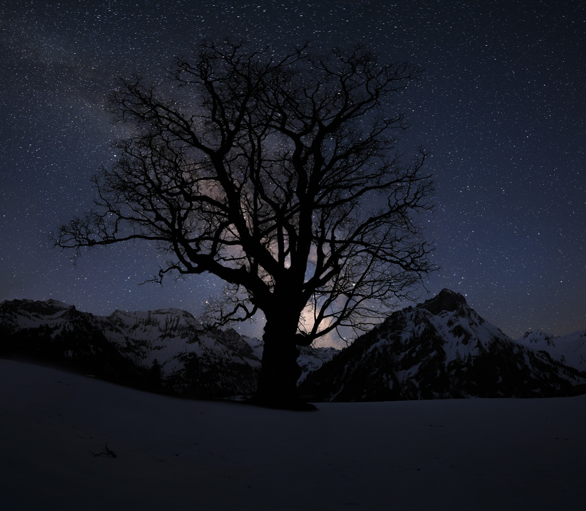 Hindelang, Kahler Baum als Silhouette unter dem Sternenhimmel vor dem Giebel, Zeitlos - Nachtfotografie Allgäu