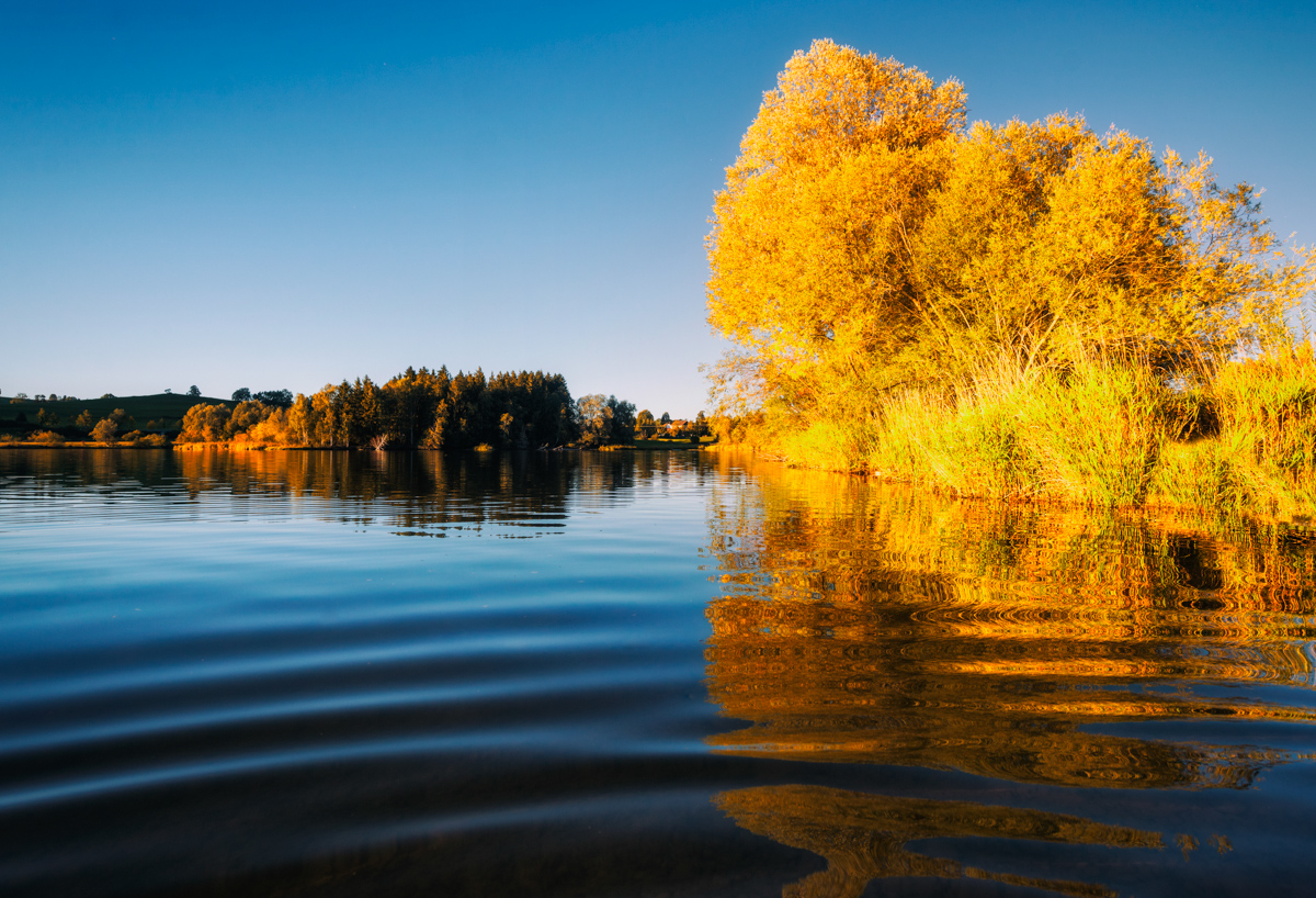 Grüntensee, Goldener Herbst, Sonnenuntergang am Wasser - Landschaftsfotografie Wertach