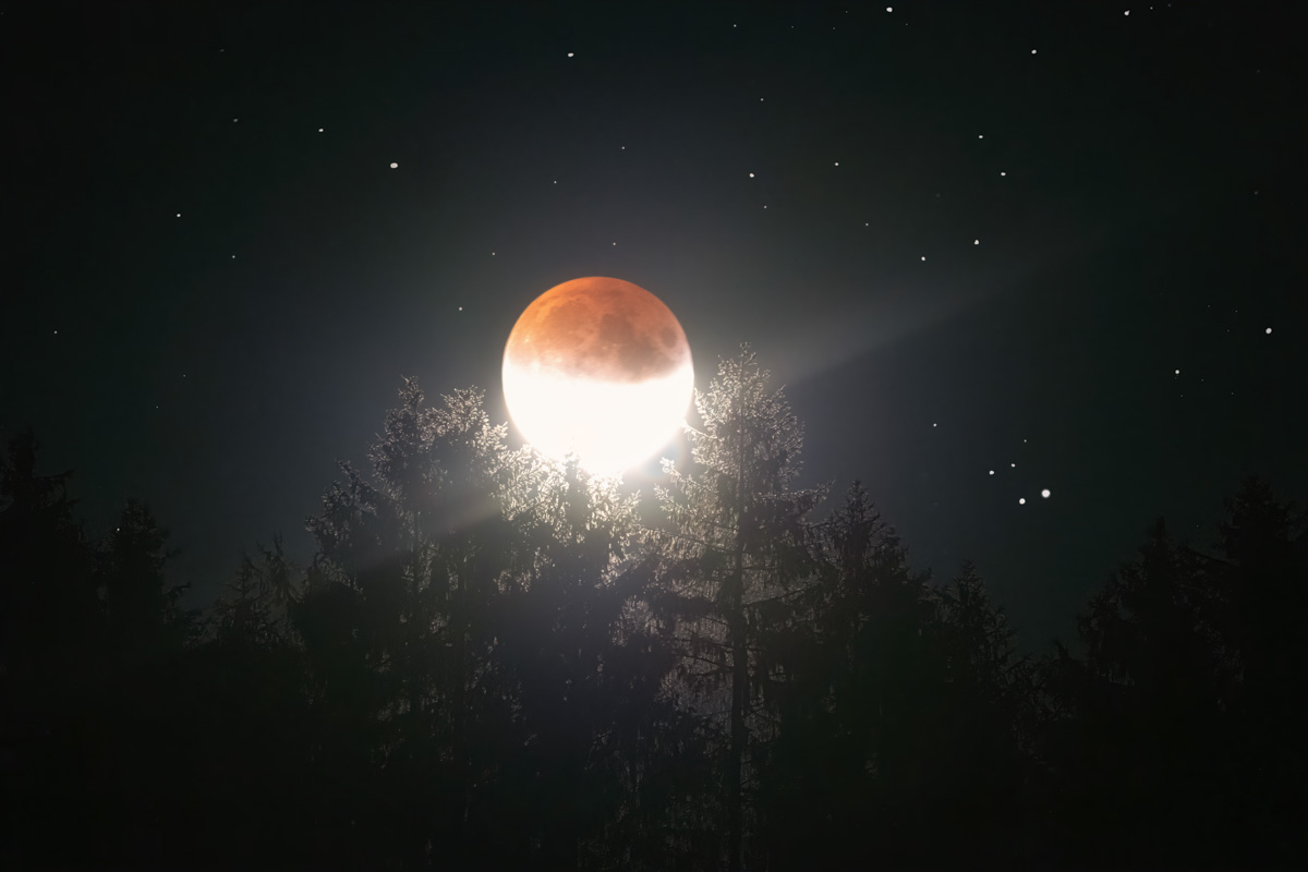 Oberallgäu, Blutmond und Mondfinsternis über Tannensilhouetten, Mondnacht - Astrofotografie Allgäu