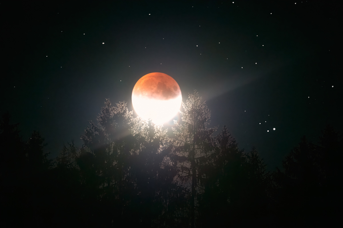 Blutmond über Baumwipfeln, Mondfinsternis mit Sternen, Astronomisches Naturschauspiel Allgäu