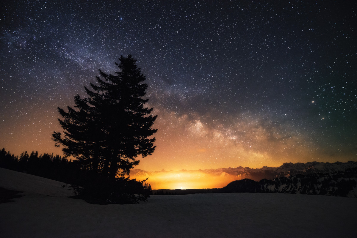 Riedberger Horn, Milchstraße über verschneiter Winterlandschaft mit Tannensilhouette, Winternacht - Astrofotografie Allgäu