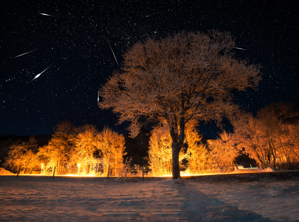 Sternschnuppen über beleuchteten Winterbäumen, Magische Winternacht bei Hindelang, Märchenhafte Nachtszene - Nachtfotografie