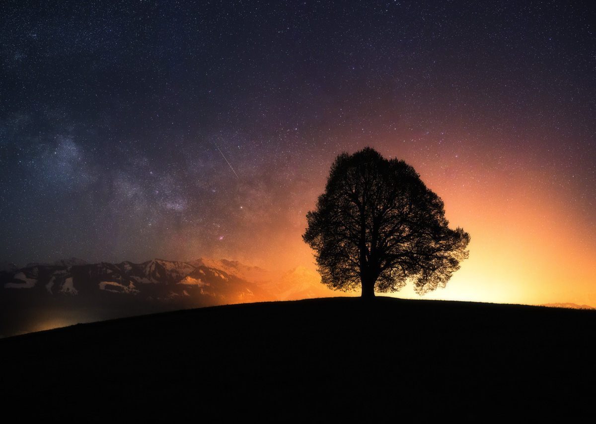 Sonthofen Wittelsbacher Höhe, Milchstraße hinter Baum-Silhouette mit Alpenpanorama, Nachtstimmung - Astrofotografie