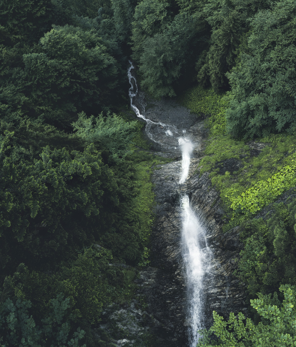 Allgäuer Wasserfall, Tosender Wasserfall inmitten üppiger grüner Vegetation, Naturverbunden - Naturfotografie Allgäu