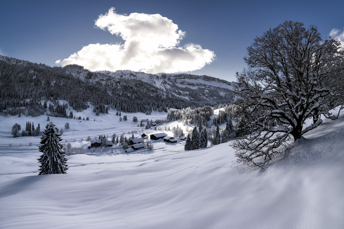 Winteridyll bei Rohrmoos und Tiefenbach, Verschneites Dorf bei Oberstdorf im Sonnenlicht, Stille Winterlandschaft