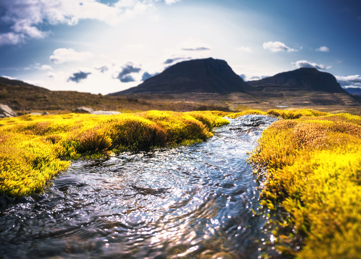 Kristallklarer Bach im goldenen Moos, Isländischer Bergbach mit Tafelberg, Lebendig - Naturfotografie Island