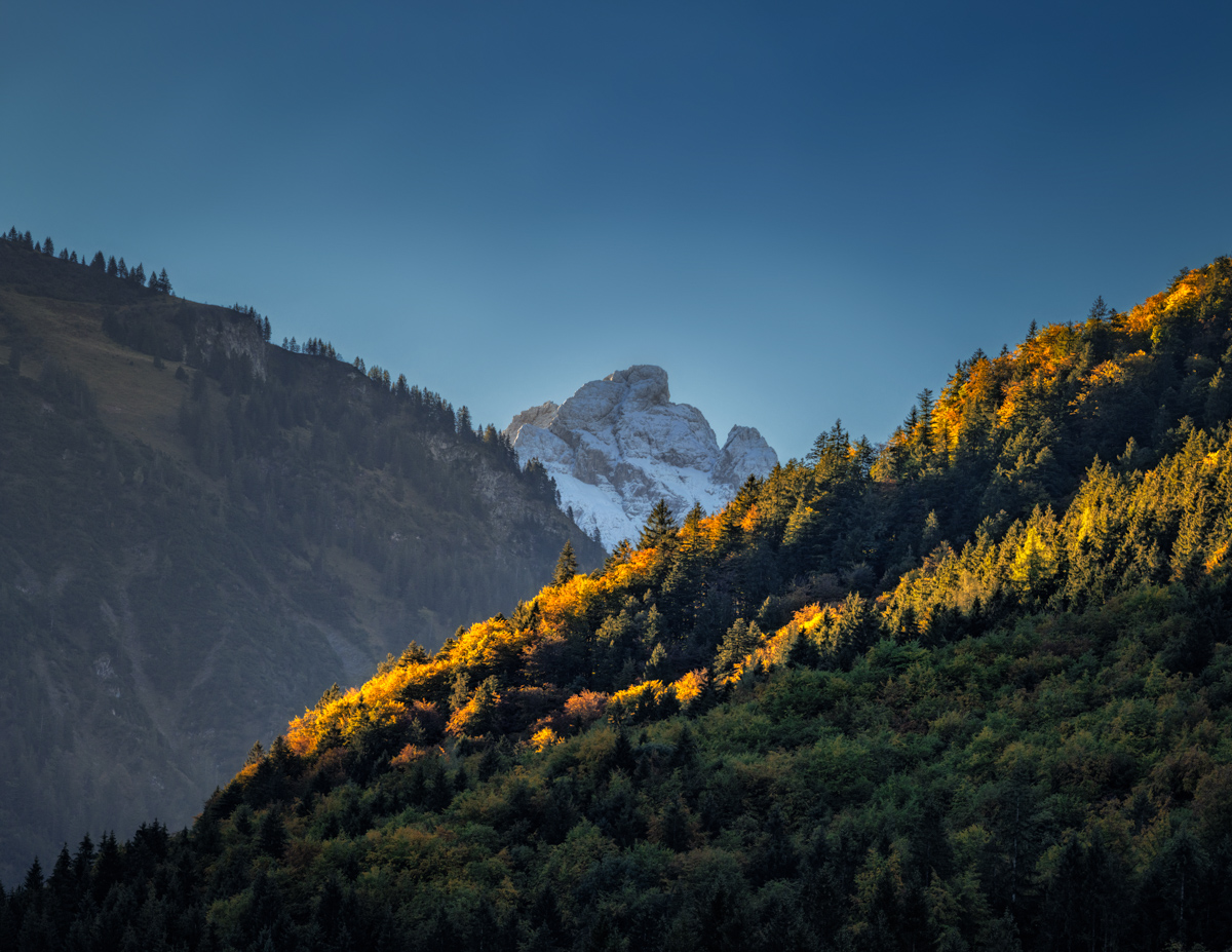 Oberstdorf, Herbstlicher Bergwald mit verschneiter Höfats, Goldener Oktober - Landschaftsfotografie Allgäu