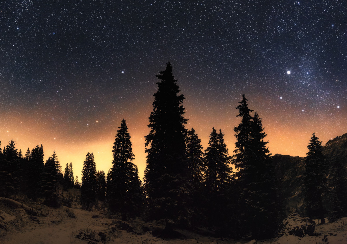 Hinterstein, Sternennacht über verschneiten Tannen in der Winternacht, Astrofotografie - Sternenfotografie Allgäu