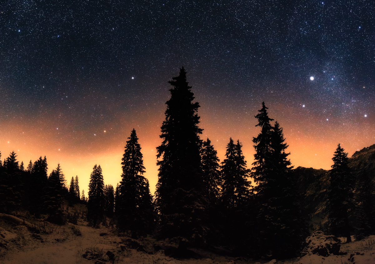 Tannenwald unter Sternenhimmel, Winterliche Waldsilhouetten vor orange Horizontglühen bei Hinterstein, Atmosphärische