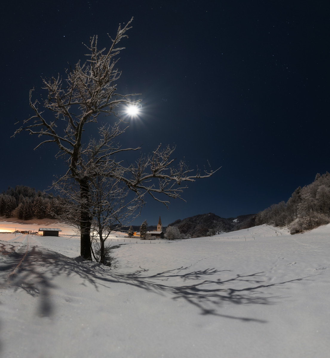 Oberstdorf, Verschneiter Baum im Mondlicht mit Bergkirche in der Winternacht, Winterzauber - Bergfotografie Allgäu