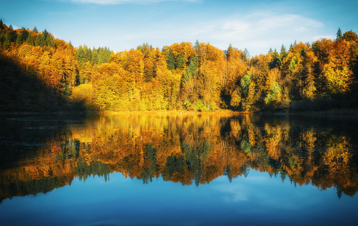 Oberstdorf, Freibergsee im goldenen Herbstkleid, Spiegelung der Laubfärbung im stillen Bergsee - Landschaftsfotografie Allgäu