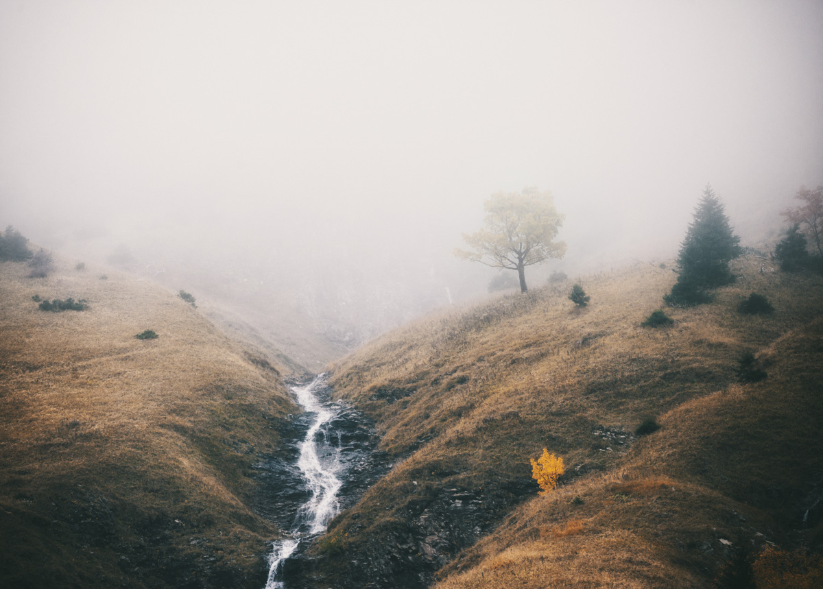 Hinterstein, Goldener Herbst mit Gebirgsbach und einsamen Bäumen im Nebel, Minimalistisch - Naturfotografie Allgäu