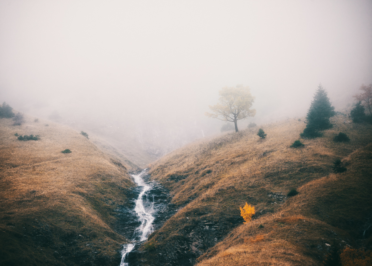 Hinterstein, Herbstbach im Nebel, Goldener Herbst - Naturfotografie Oberallgäu