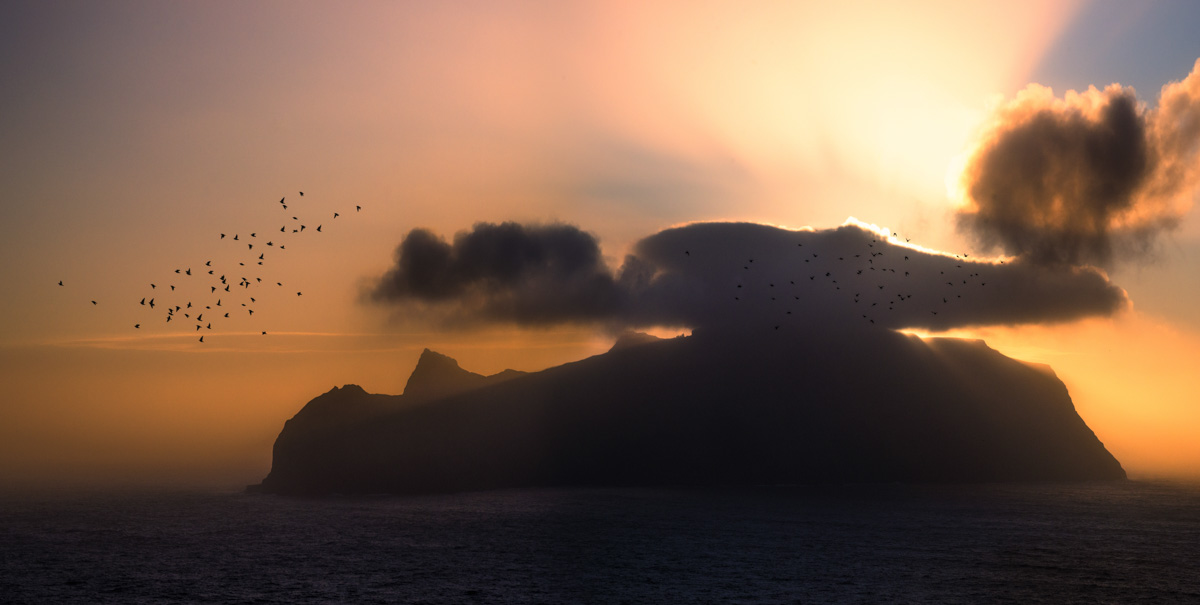 Färöer Inseln, Wolkenverhüllte Insel mit Vogelschwarm im Abendlicht, Mystisches Naturschauspiel - Naturfotografie