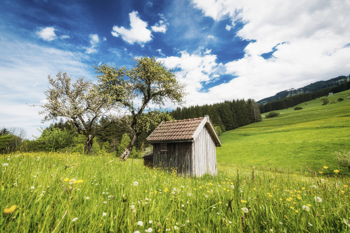 Pfronten, Rustikale Holzhütte auf blühender Frühlingswiese im Ostallgäu, Idyllischer Frühlingszauber - Landschaftsfotografie