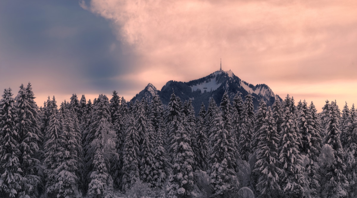 Allgäu, Verschneiter Tannenwald vor Berggipfel im zarten Alpenglühen des Sonnenaufgangs, Winterzauber in Rosa