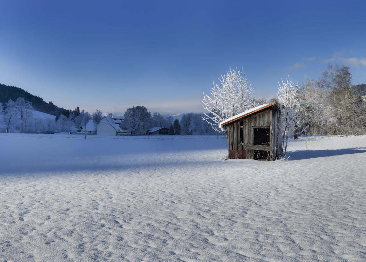 Hindelang, Verschneite Almhütte mit vereistem Baum in der Blauen Stunde, Winteridylle - Naturfotografie Allgäu