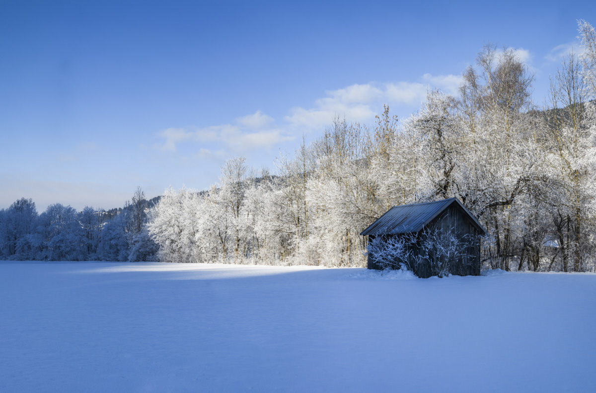 Hindelang, Raureif-bedeckte Bäume und verschneite Hütte im Winterblau, Stille Winterwelt - Naturfotografie Allgäu