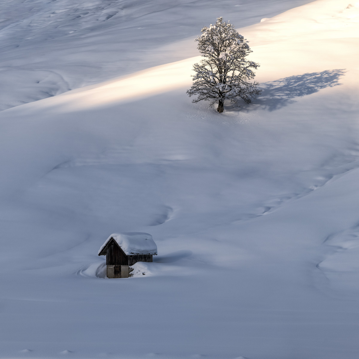 Oberstdorf, Verschneite Hütte und einsamer Baum bei Rohrmoos im Tiefschnee, Minimalistische Winterruhe - Naturfotografie