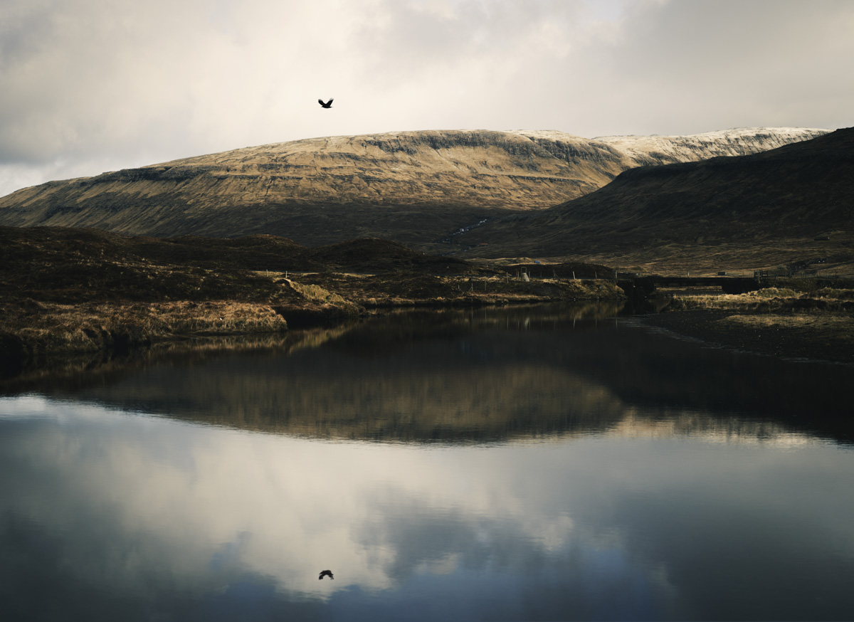 Färöer Bergsee, Perfekte Spiegelung mit Vogel über stillem Moorsee, Ruhig - Landschaftsfotografie Nordatlantik