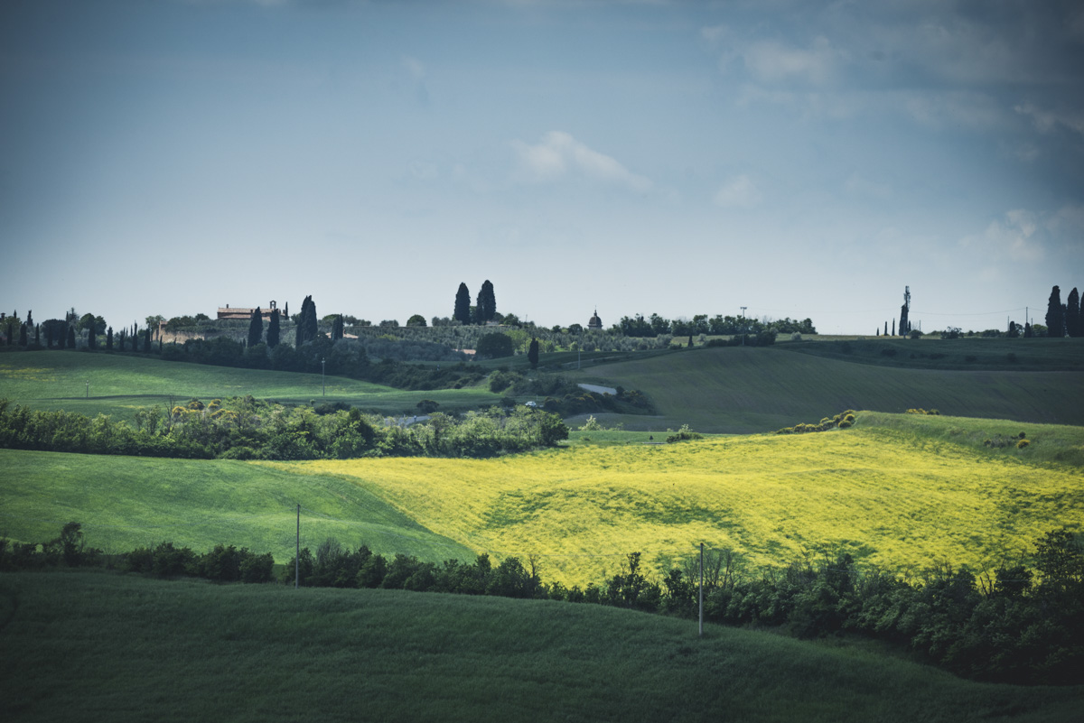 Toskanische Hügellandschaft mit Zypressen, Grüne und gelbe Felder im Sommerlicht, Panorama Landschaftsfotografie Italien