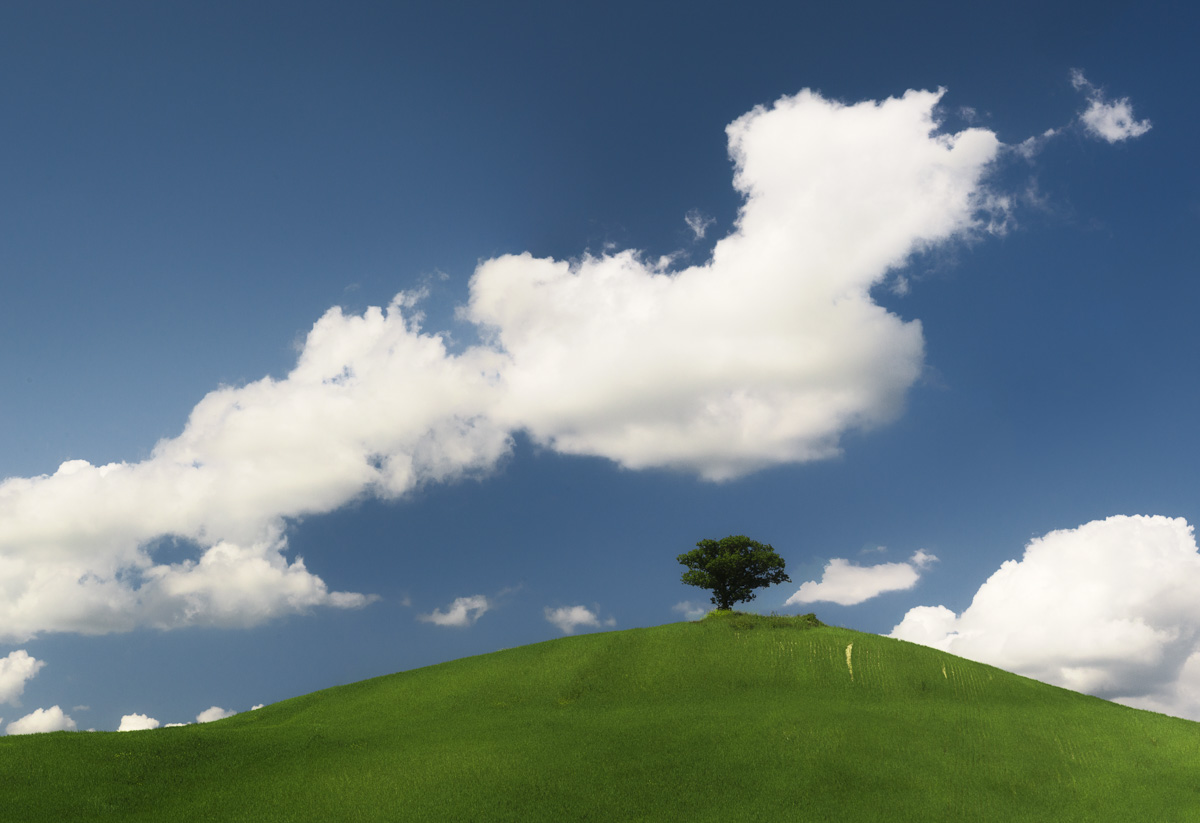 Einsamer Baum auf grünem Hügel, Weite unter Wolkenhimmel, Minimalistische Landschaftsfotografie Toskana