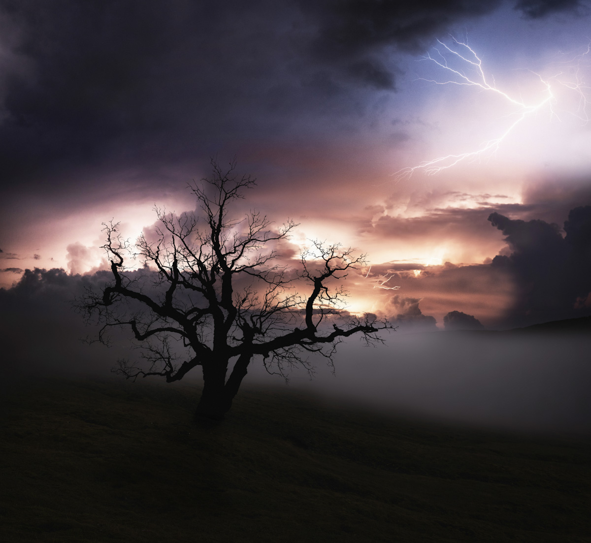 Oberallgäu, Gewitterblitz über einsamer Baumsilhouette, Sturmfront - Nachtfotografie Allgäu