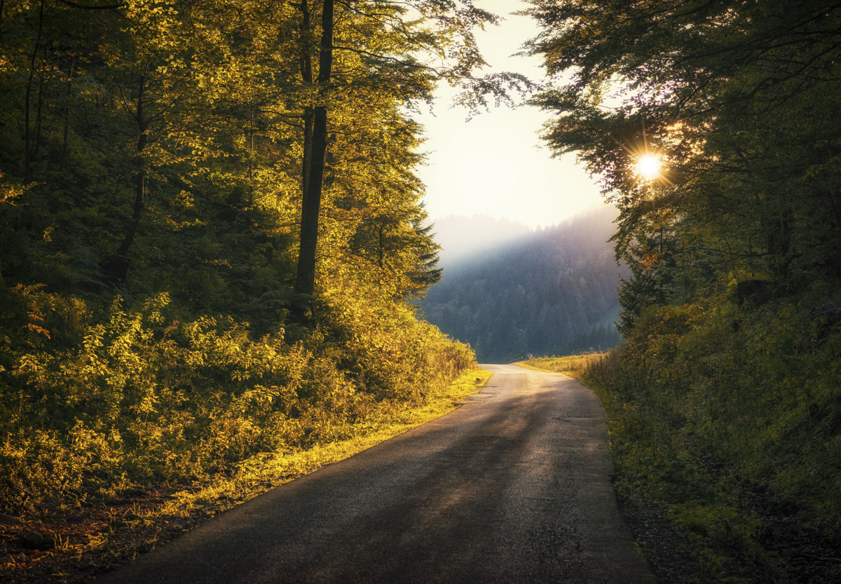 Hinterstein, Herbstlicher Waldweg im Gegenlicht, Indian Summer - Landschaftsfotografie Oberallgäu