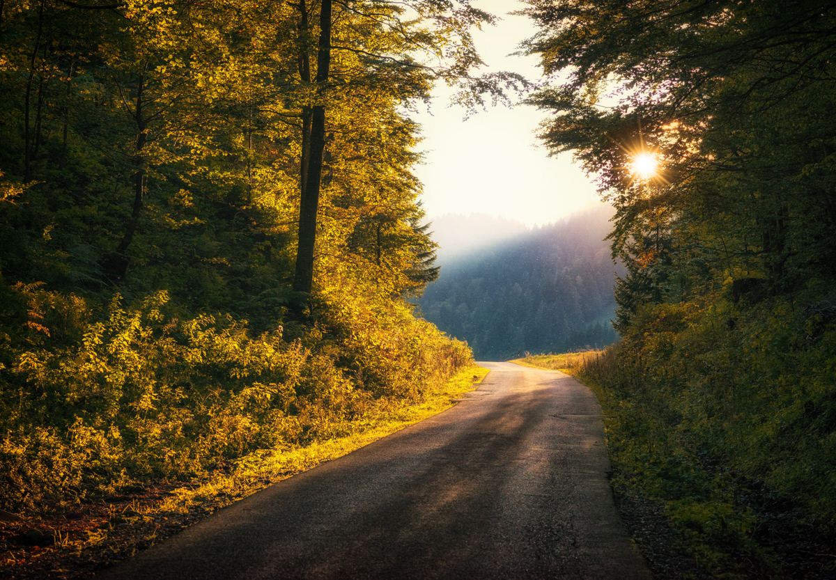 Hinterstein, Goldener Herbstweg durch den Bergwald, Indian Summer - Landschaftsfotografie Oberallgäu