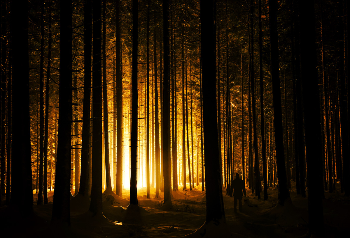 Hinterstein, Goldenes Licht im verschneiten Nadelwald, Winterliche Waldstimmung - Nachtfotografie Oberallgäu