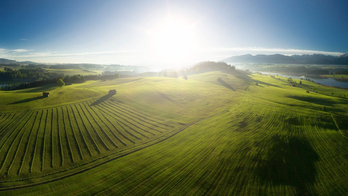 Ostallgäu, Grüne Wiesen bei Forggensee und Hopfensee, Frühling - Landschaftsfotografie Allgäu