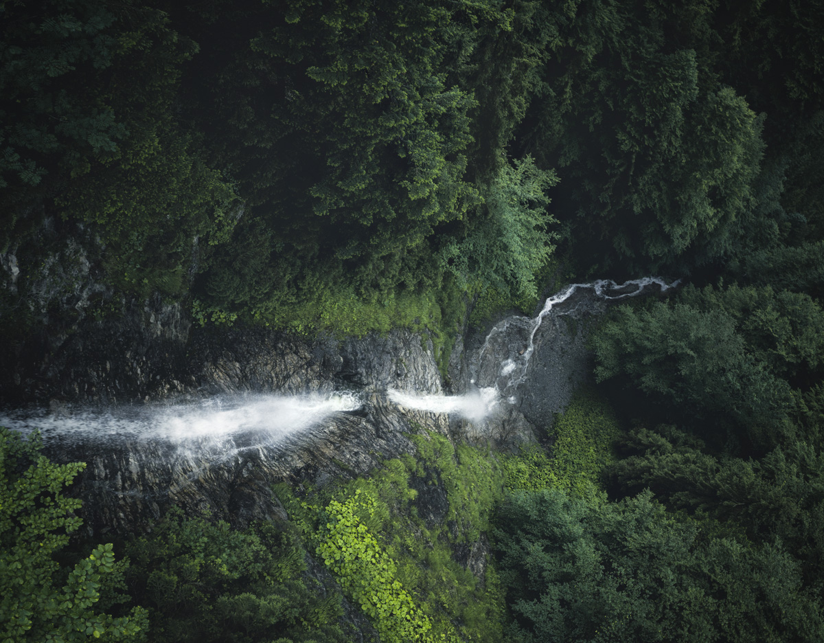 Wasserfall im Bergwald am Lechtal, Üppiger Sommerwald am Fernpass bei Hahntenjoch, Naturfotografie Tirol