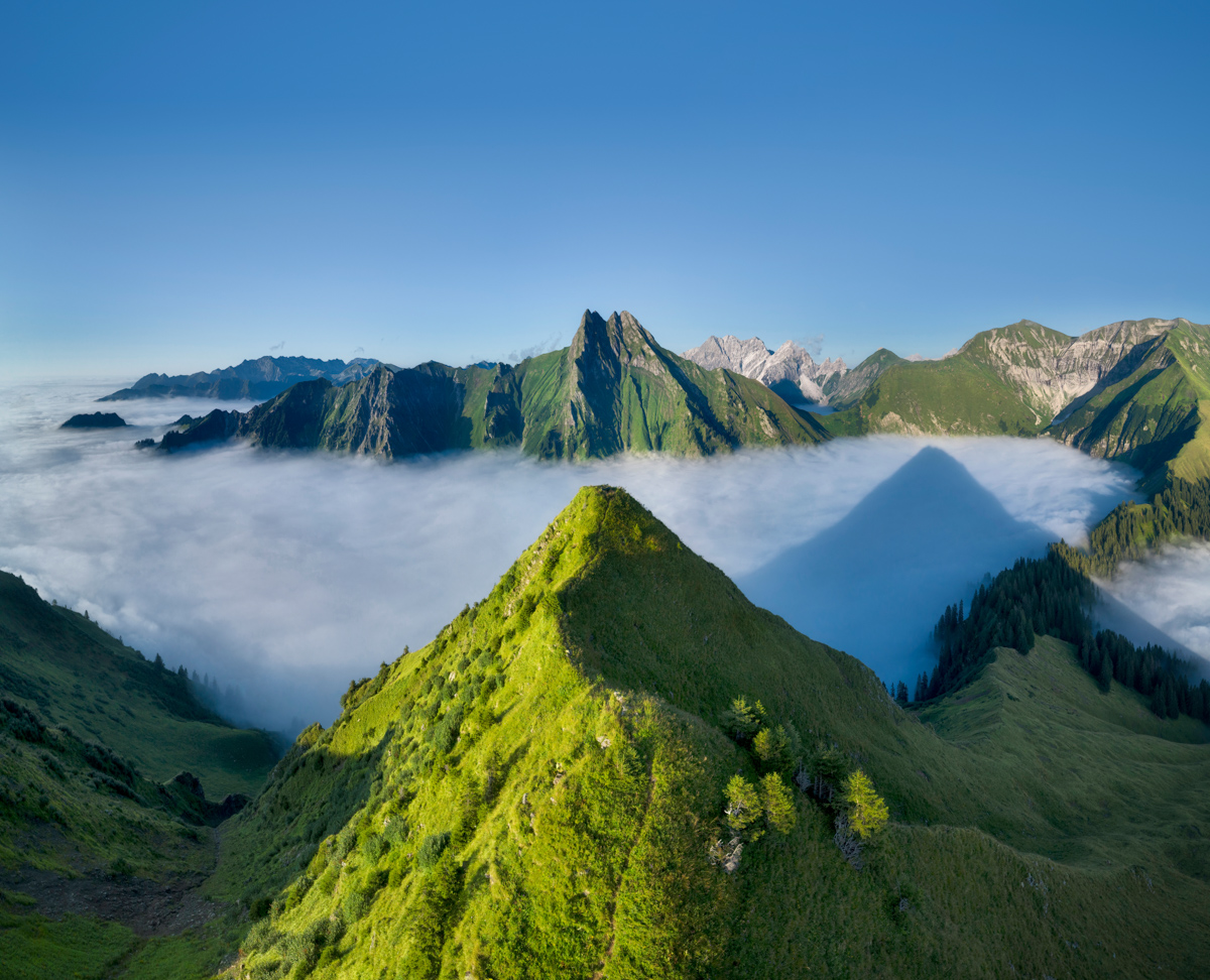 Kegelkopf und Höfats über dem Nebelmeer, Grüne Berggipfel über weißer Wolkendecke, Sommermorgen bei Oberstdorf