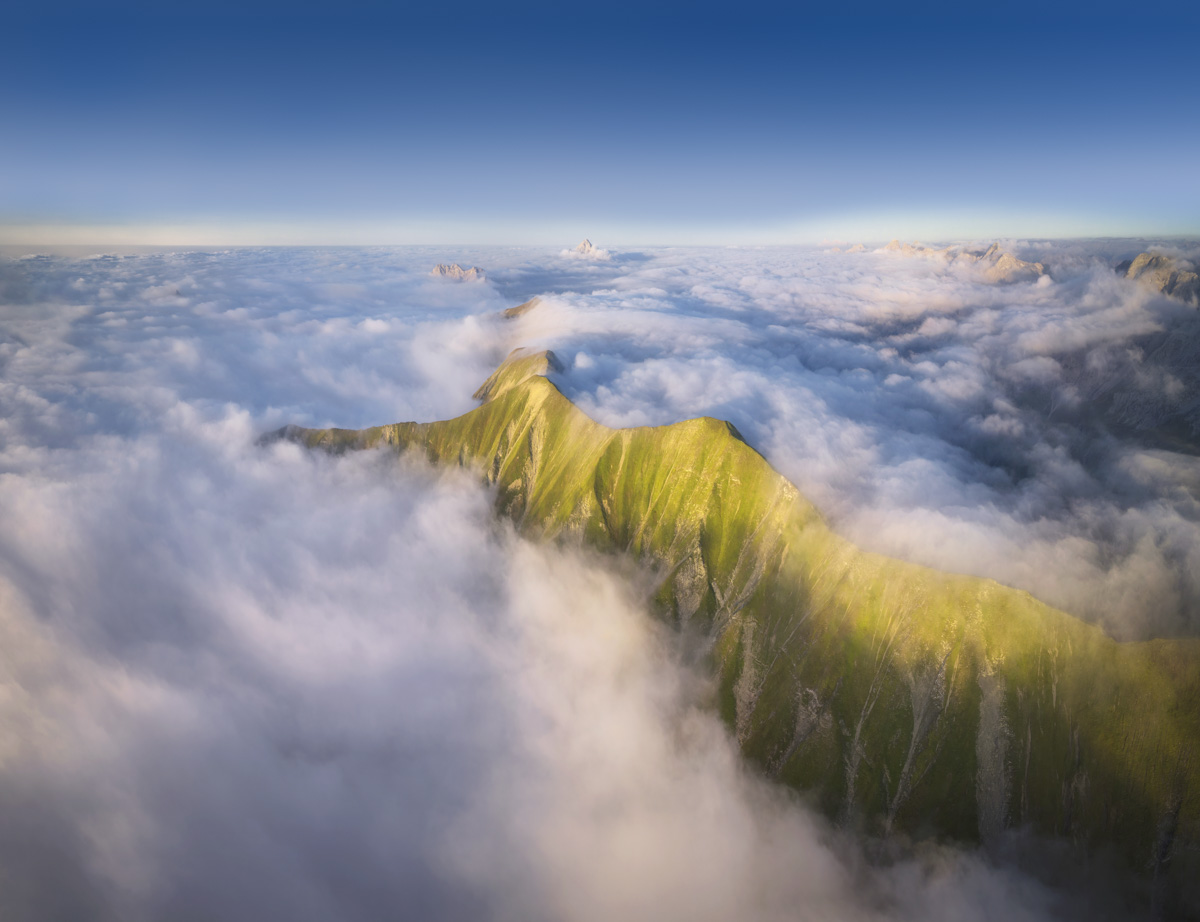Oberstdorf, Grüner Berggrat über dem Wolkenmeer, Hornbachkette im Morgenlicht - Landschaftsfotografie Oberallgäu