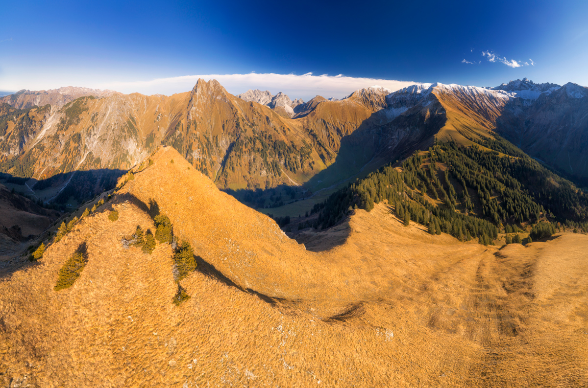 Oberstdorf, Höfats und Krottenkopf, Goldbraune Herbstalmen im Nachmittagslicht - Landschaftsfotografie Allgäu
