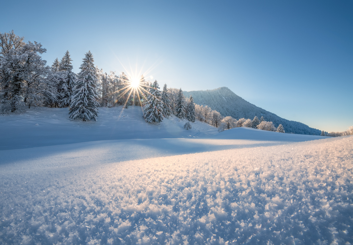 Immenstadt, Schneekristalle im Sonnenlicht, Winterzauber im Allgäu - Landschaftsfotografie Oberallgäu