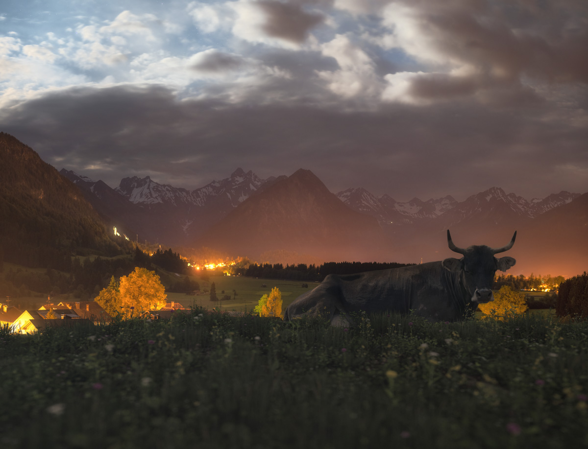 Oberstdorf, Allgäuer Braunvieh in der Vollmondnacht, Kuh vor beleuchteter Bergkulisse bei Rubi - Landschaftsfotografie