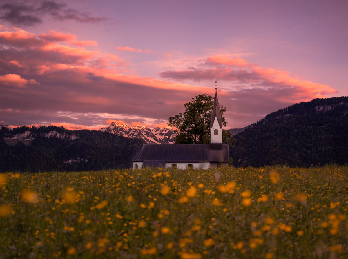 Bolsterlang, Dorfkirche im Abendrot, Blumenwiese vor der Allgäuer Bergkulisse beim Sonnenuntergang - Landschaftsfotografie